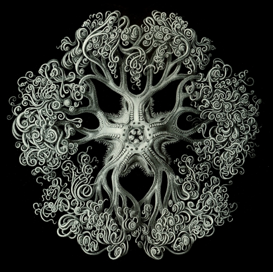 _1099511627775