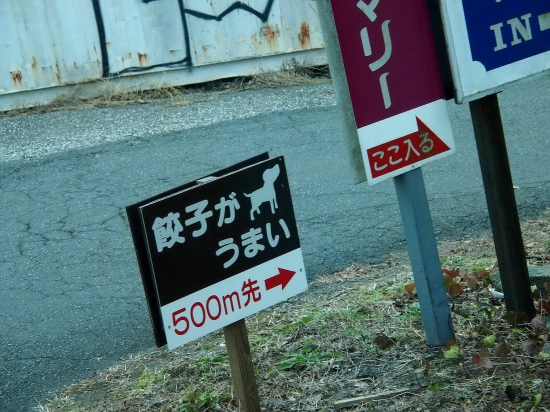 _4.9517601571415E+27