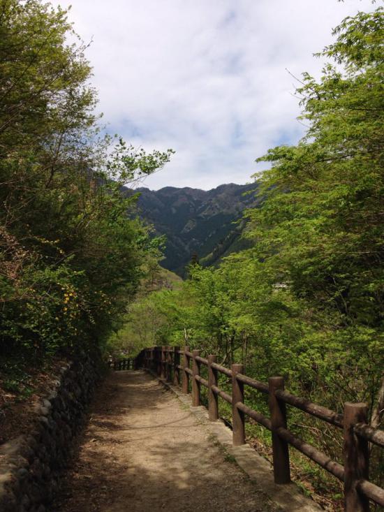 西多摩郡の楢原村に行ってきたから写真うpしてく_15