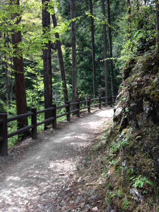 西多摩郡の楢原村に行ってきたから写真うpしてく_31