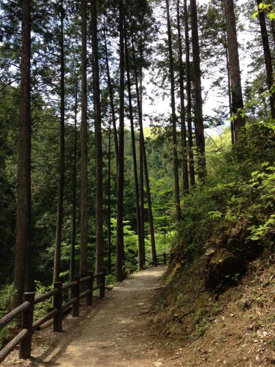 西多摩郡の楢原村に行ってきたから写真うpしてく_63