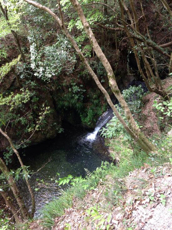 西多摩郡の楢原村に行ってきたから写真うpしてく_127