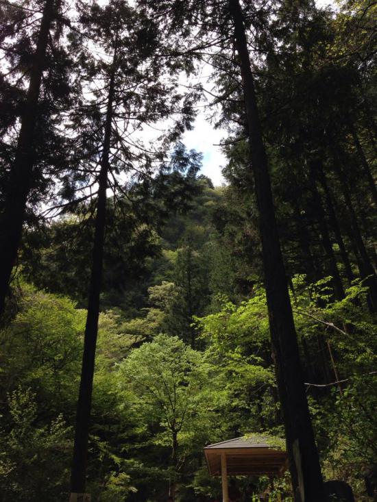 西多摩郡の楢原村に行ってきたから写真うpしてく_16383