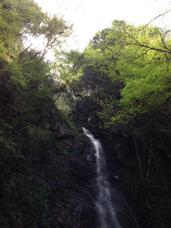 西多摩郡の楢原村に行ってきたから写真うpしてく_131071