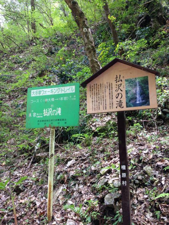 西多摩郡の楢原村に行ってきたから写真うpしてく_262143
