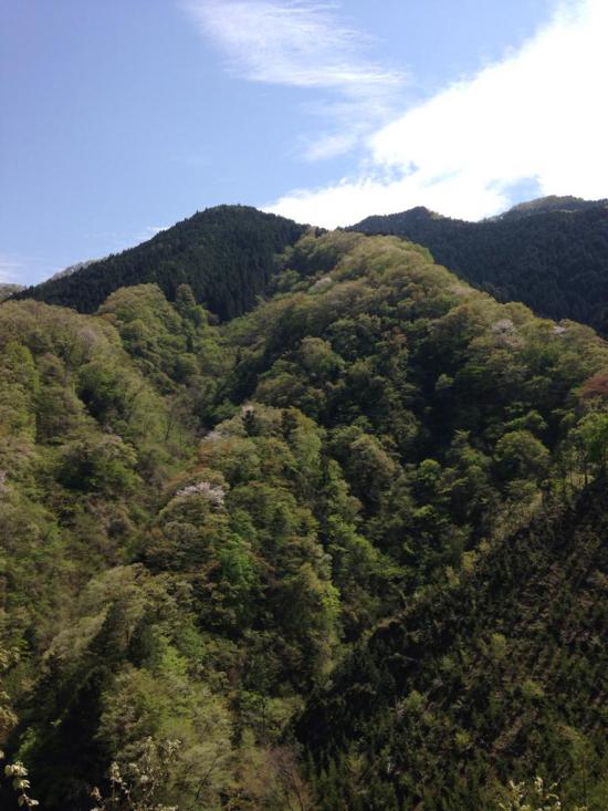 西多摩郡の楢原村に行ってきたから写真うpしてく_2097151