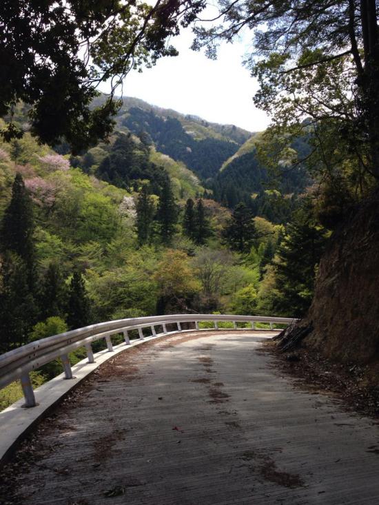 西多摩郡の楢原村に行ってきたから写真うpしてく_134217727