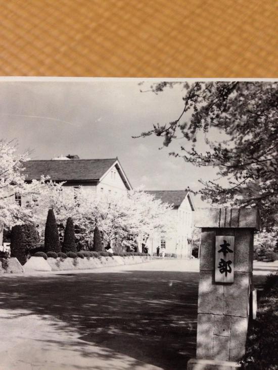 戦時の写真出てきた_2199023255551