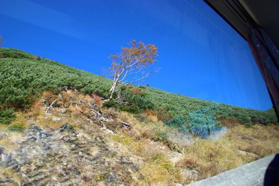富山、岐阜旅行行ってきたので写真貼ってく_2147483647