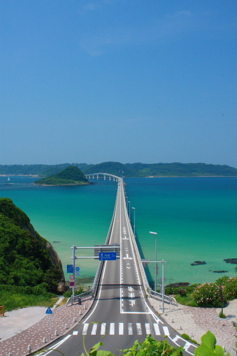 夏が近いから夏の画像貼ってく_2199023255551