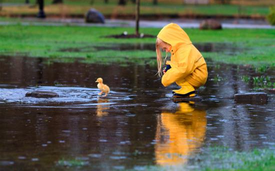【Rain】雨の動物画像を貼っていく_562949953421311