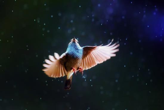 【Rain】雨の動物画像を貼っていく_4611686018427387903