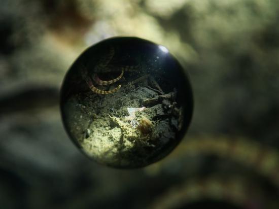 水中宙玉写真が、撮りたまったから晒す。_17179869183