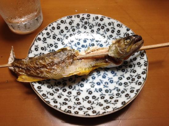 渓流釣りに行ってきたよ_32767