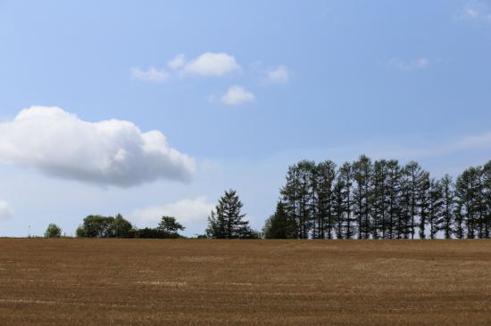 北海道に行ってきたから写真うpするスレ_33554431