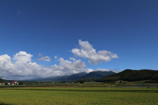 北海道に行ってきたから写真うpするスレ_4294967295