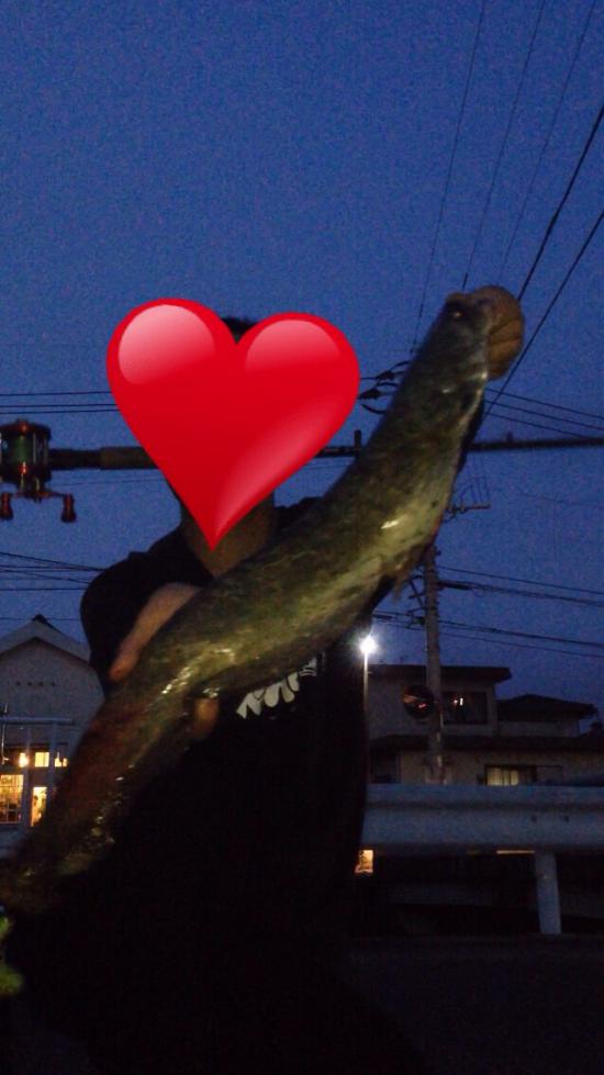 ウナギ釣りしに川来た_134217727
