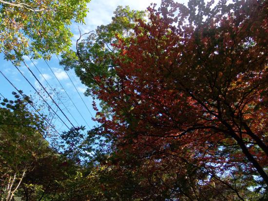 天気が良かったからバイクで日光に行ってきたよ(9月30日)_2.4758800785708E+27