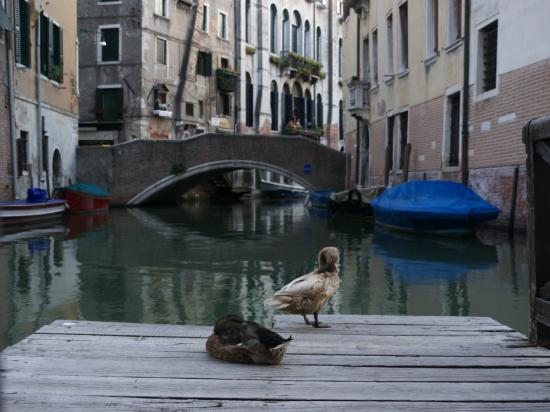 世界を旅行した時の写真を貼っていこうと思います_536870911