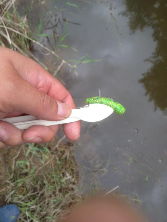 またバス釣り行って来たよ 釣りの話をしよう!_1023