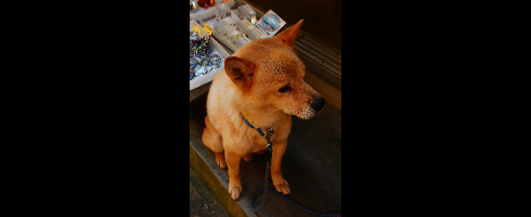 山梨に行ってきたから写真うpする_2047