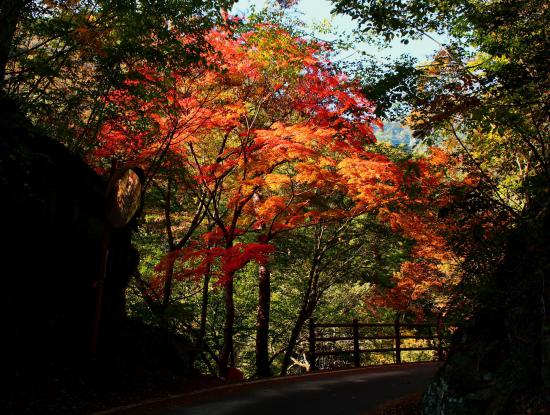 山梨に行ってきたから写真うpする_8191