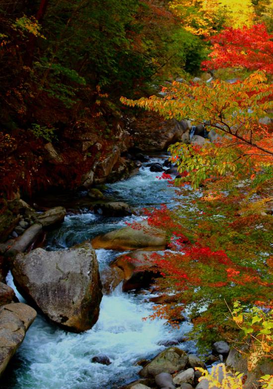 山梨に行ってきたから写真うpする_16383