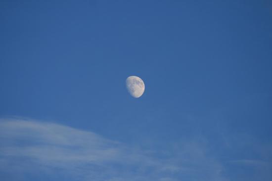 この1年で撮った雲画像を投稿する_1125899906842623