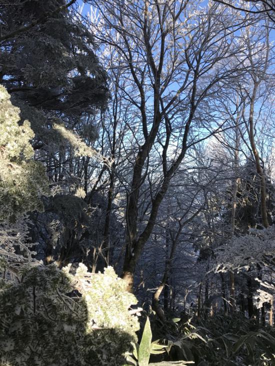 山行ってきたんで写真貼ってく その2_140737488355327