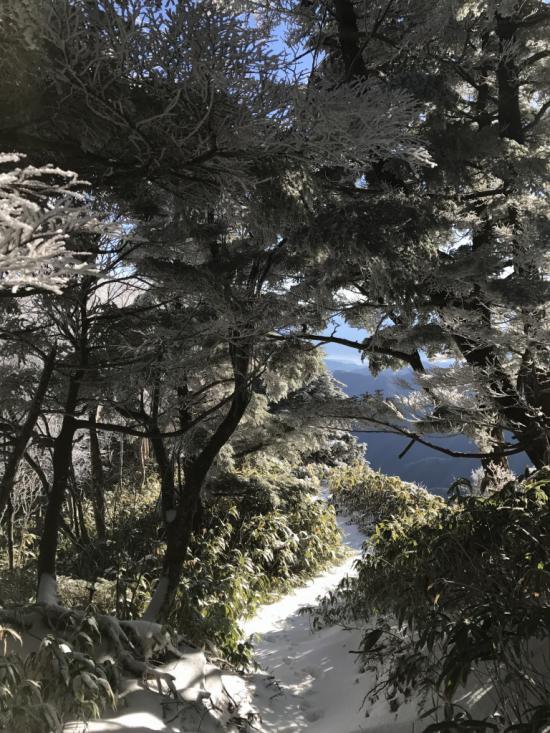 山行ってきたんで写真貼ってく その2_562949953421311