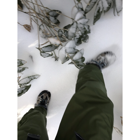 山行ってきたんで写真貼ってく その2_72057594037927935