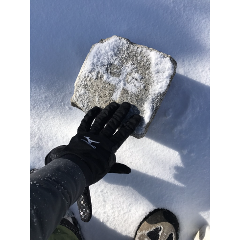山行ってきたんで写真貼ってく その2_288230376151711743