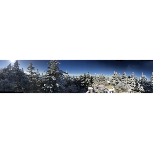 山行ってきたんで写真貼ってく その2_9223372036854775807