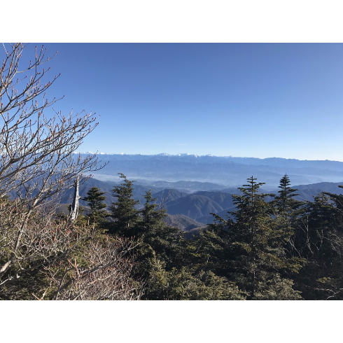 山行ってきたんで写真貼ってく その2_9.4447329657393E+21