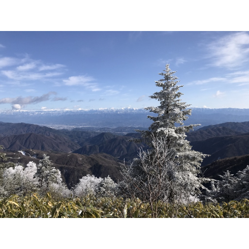 山行ってきたんで写真貼ってく その2_1.5111572745183E+23
