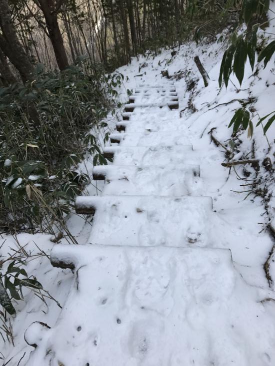 山行ってきたんで写真貼ってく その2_3.0223145490366E+23