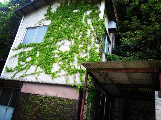 俺が撮った廃墟画像上げる_4.2535295865117E+37