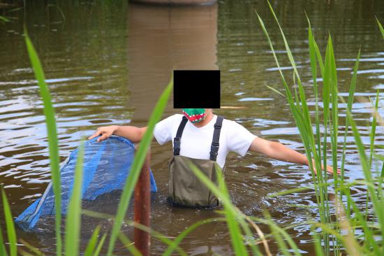 印旛沼でカミツキガメ捕まえてきた!!!_1073741823