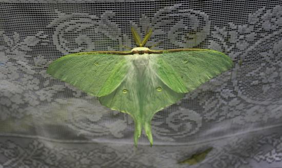 俺が撮影した野生動物の写真を見てくれよ_2199023255551