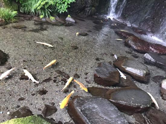 (美しい画像)いい景色を見て癒されよう_549755813887
