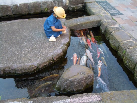 (美しい画像)いい景色を見て癒されよう_35184372088831