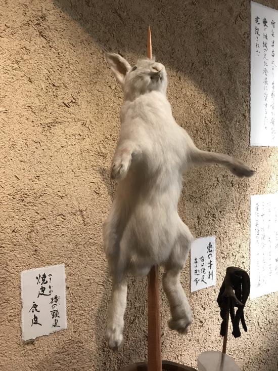 GWに長野行ってきた_511
