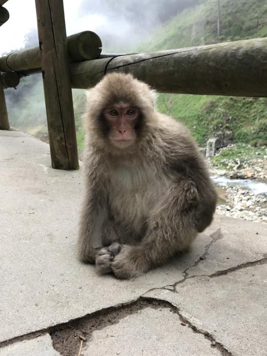 GWに長野行ってきた_536870911