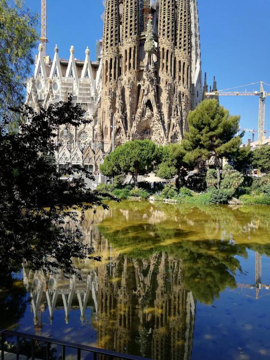 ふ、と撮った好きな風景写真を貼ってくスレ_17592186044415
