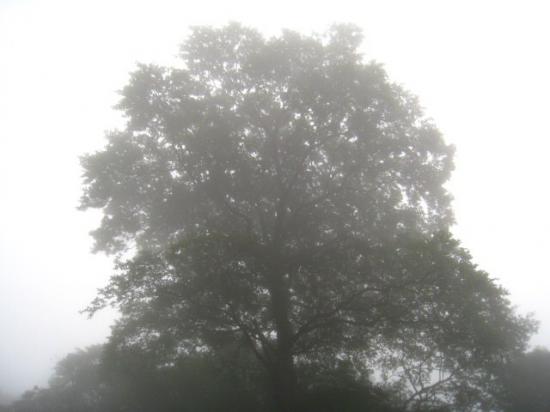 ふ、と撮った好きな風景写真を貼ってくスレ_18014398509481983