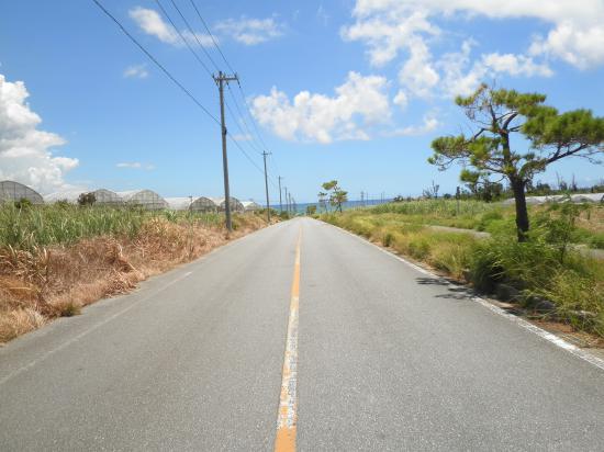 ふ、と撮った好きな風景写真を貼ってくスレ_36028797018963967
