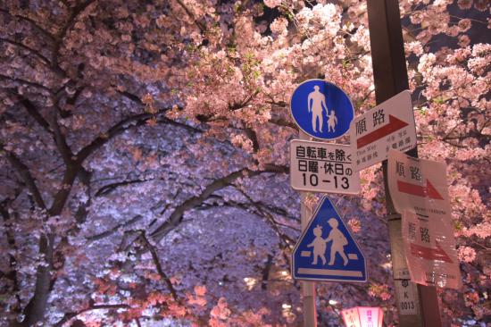 ふ、と撮った好きな風景写真を貼ってくスレ_576460752303423487