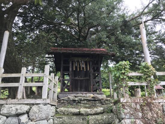 諏訪行ってきたから写真貼る_2199023255551