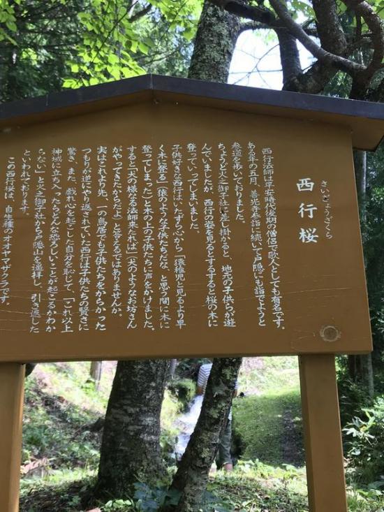 諏訪行ってきたから写真貼る_35184372088831