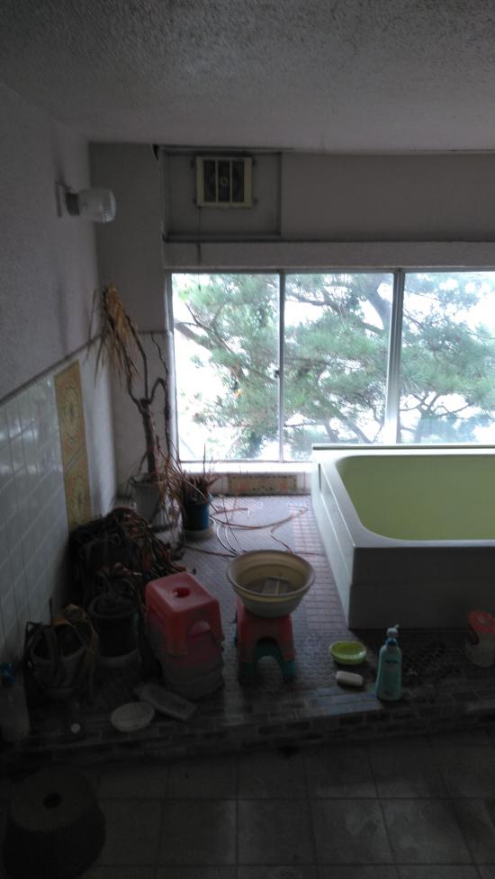 廃墟に行ってきた_8589934591